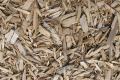 biomass boilers Invergowrie